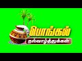 Pongal Green Screen Happy Pongal 2023 Pongal Background 3D Pongal
