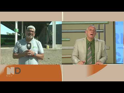 Regresa el servicio de transporte de pasajeros entre Guardia Mitre y Viedma