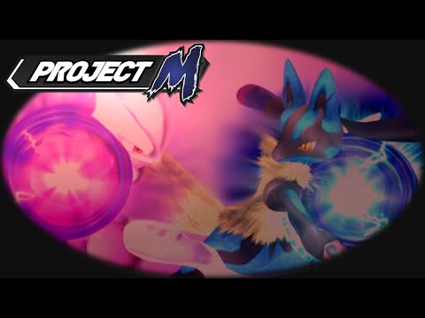 Mega MEWTWO X VS Mega LUCARIO - Final Round (Project M: TurboTAStic)