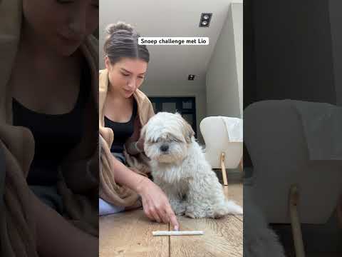 Abonneer voor meer video's met Lio 🤣🤣😭