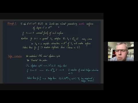 Bruno Klingler--On the geometry of the Hodge locus