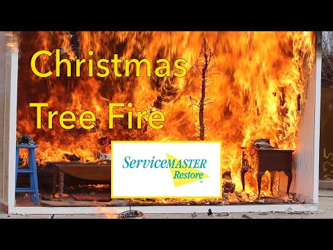 Christmas Tree Live Burn presented by ServiceMaster Restore