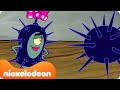 SpongeBob | De Krokante Krab is overgenomen door ZEE-EGELS ? | Nickelodeon Nederlands