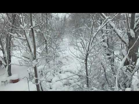 March 2021 Blizzard (extended)