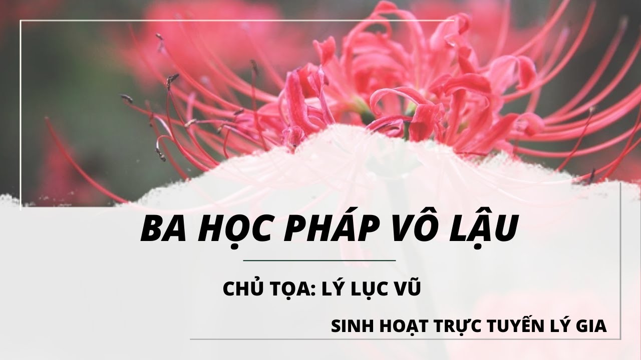 Buổi Thực Tập Thuyết Trình Của Lý Lục Vũ - Đề Tài Tam Vô Lậu Học