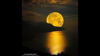 GATE AND PORTAL IS ABOUT TO OPEN!!!!!!!!!