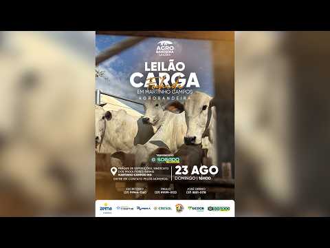 LEILÃO CARGA FECHADA AGRO BANDEIRA E SINDICATO DE MARTINHO CAMPOS/MG - 23/08/2026