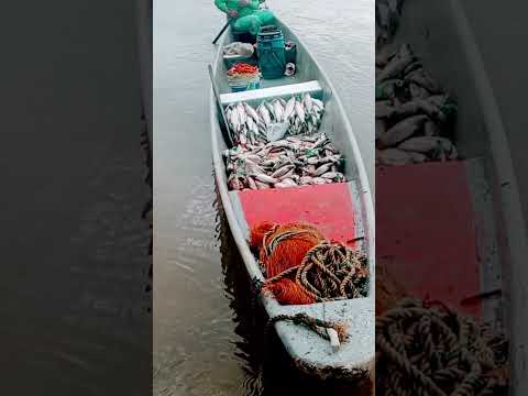 La pesca, puerto nare Antioquía