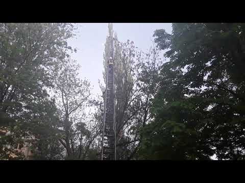 Ratowanie kotka