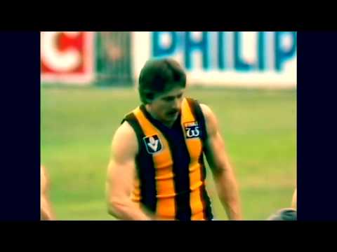 The 1981 VFL grand final sprint final