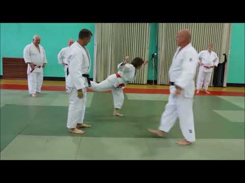 19 Uchi Mata Exercise Drills - Jane Bridge Enhancing BJC Coaching Skills Part 3