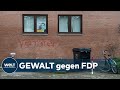 View 21 Fdp Politiker