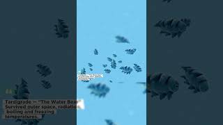 “5 Toughest Animals That Can Survive Anything 🌍🔥❄️” (part 1)