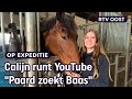 Geld verdienen met YouTube? Calijn onderhoudt haar paarden ervan | RTV Oost