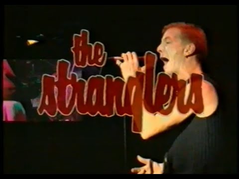 The Parr Street Chronicles (1995)