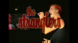 The Parr Street Chronicles (1995)