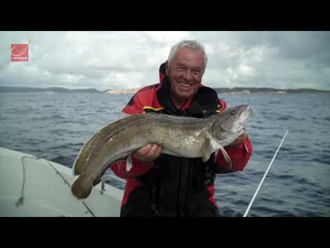 Fishing in Norway:         Tregde Ferie - A variety of fish on a continuous basis in Southern Norway