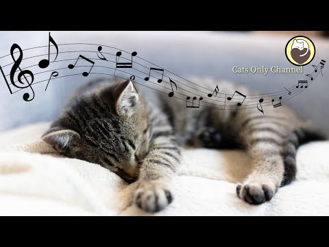 Cat Music - Sounds that Cats Love, Harp Music and Water Sounds