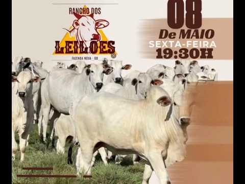 Fazenda Nova - GO   08/05/2026