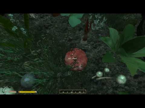 Elder Scrolls Oblivion With OOO & MMM #55: Frostcrag Spire