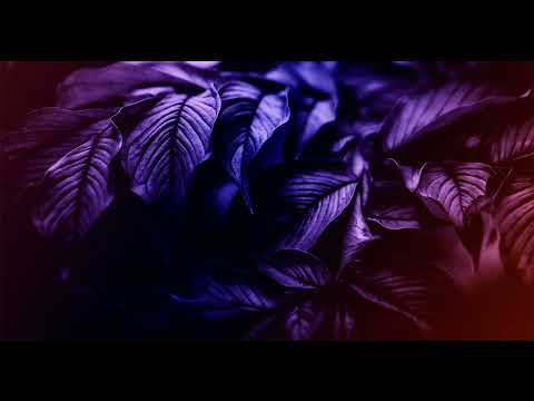 Cosmic Gate & Diana Miro - Nothing to Hide