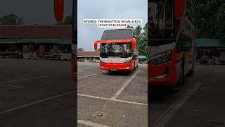 Download lagu BALIK BUS ROSALIA YANG CANTIK TERLIHAT SANGAT ELEGAN #celanapendek #rosaliaindah mp3 Download lagu BALIK BUS ROSALIA YANG CANTIK TERLIHAT SANGAT ELEGAN #celanapendek #rosaliaindah mp3