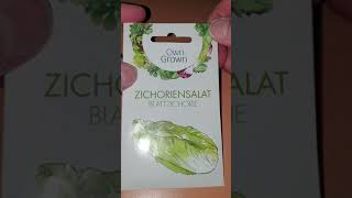 Zichorien Samen Zichoriensalat Samen zum Anbau von 150 Salat Pflanzen, Genial
