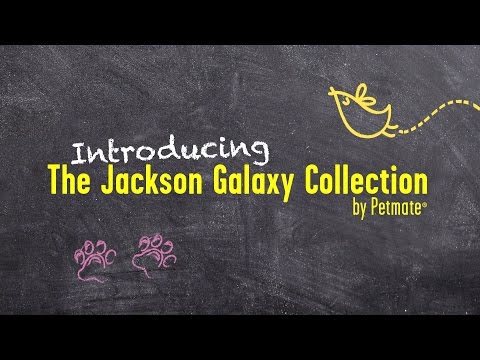 Jackson Galaxy Collection Overview