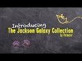 Jackson Galaxy Collection Overview 