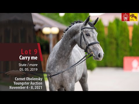 Youngster Auktion Lot 09 Carry me Stute v. Captain Fire - Cornet Obolensky