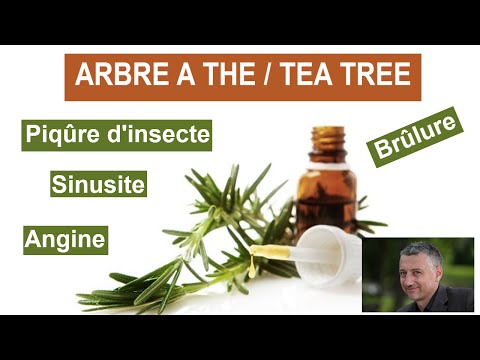 comment appliquer l'huile essentielle de tea tree