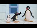 Pingu In The City Episode 3 4