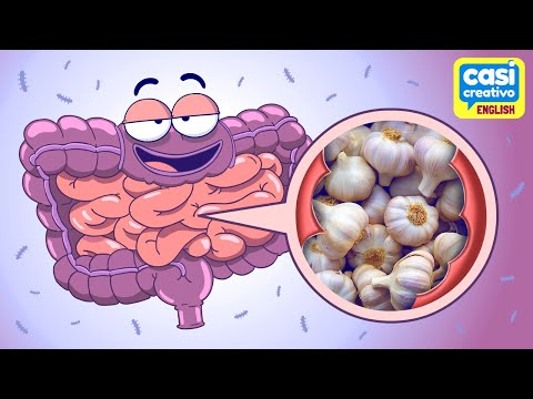 プロバイオティクスとプレバイオティクスの違い (The Difference Between Probiotics and Prebiotics)