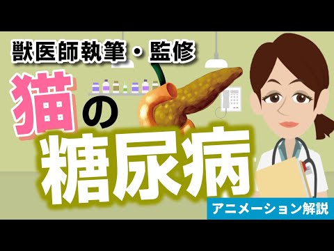 犬の糖尿病 - 症状と治療法