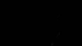 The White Buffalo - The Madman