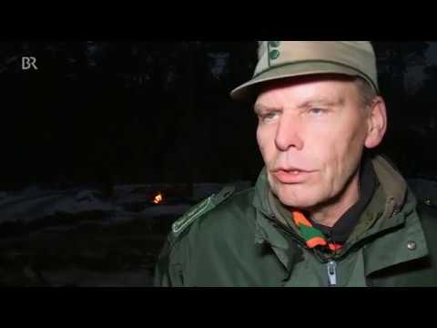 Jagd auf dem Truppenübungsplatz Grafenwöhr | BR24