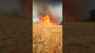 piromani-in-azione-a-scampitella