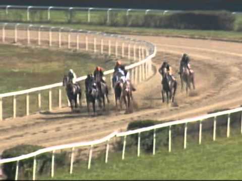 Megértő HP I. rész 1600m