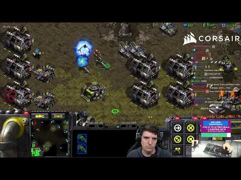 trashtalking protoss pain