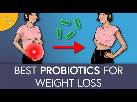 Which Probiotics are BEST for Weight Loss?