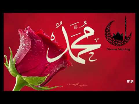 Ti si ruža džennetska - HAFI