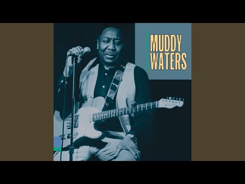 Sad Sad Day - Muddy Waters
