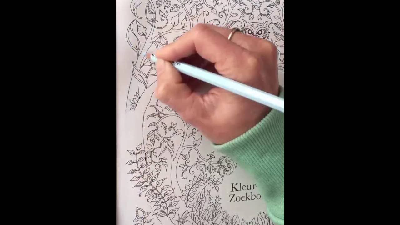 Tutorial Enchanted forest - front title page.