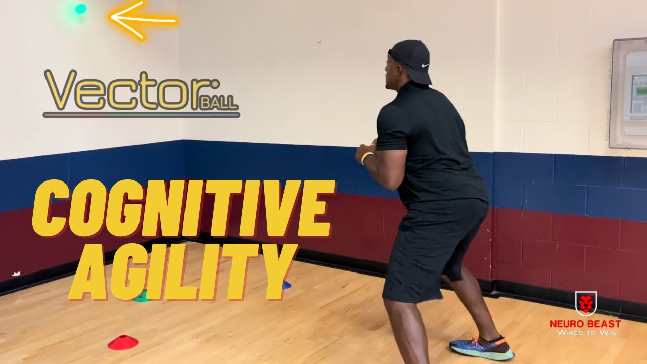 Cognitive Agility Using the Vector Ball
