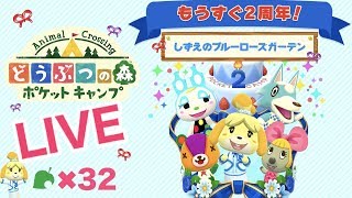 [ポケ森]ライブ#32 雑談しながらほのぼのスローライフ どうぶつの森ポケットキャンプ