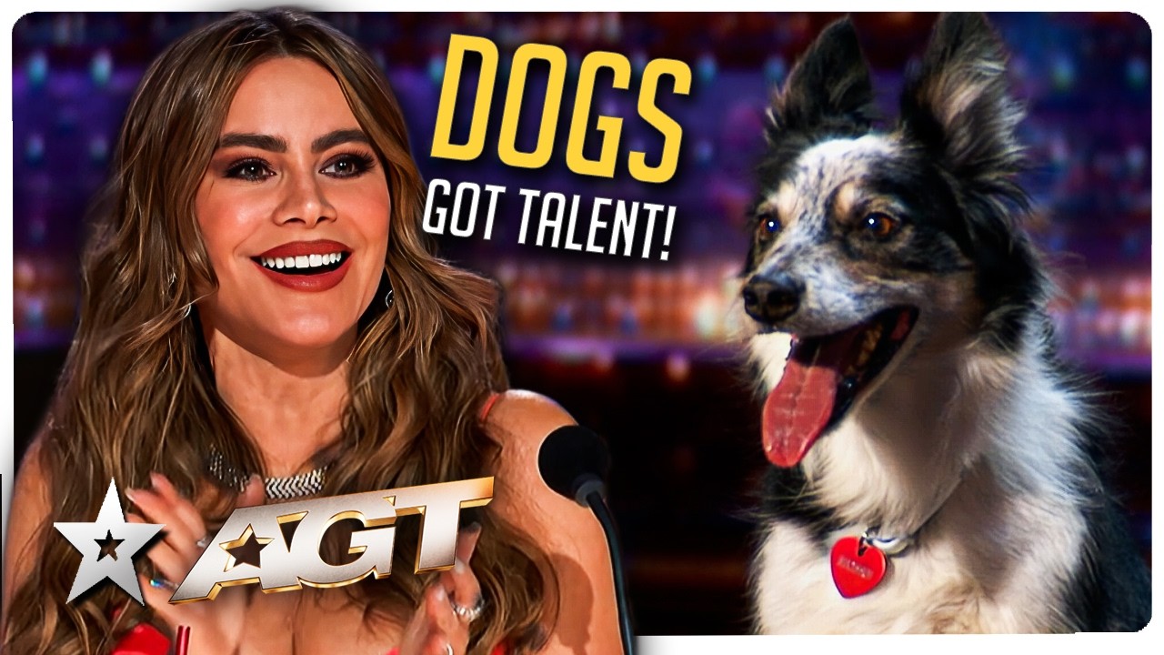 Dogs Got Talent! 🐶 The BEST Dog Auditions EVER on America's Got Talent!