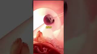 Craziest Water Slide !!