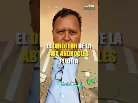 Duro golpe al contrabando de madera en Pando