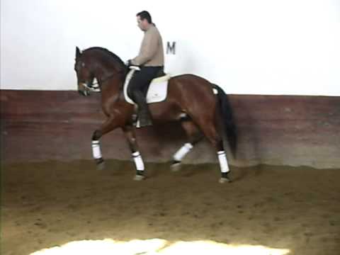 xico monte das flores 2