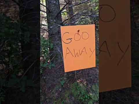 I found Bigfoot's lair. I think. 